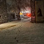 Torony Lovarda Maganszallas * Kiskunfelegyhaza
