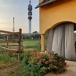 Torony Lovarda Maganszallas *