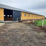 Torony Lovarda Maganszallas * Kiskunfelegyhaza