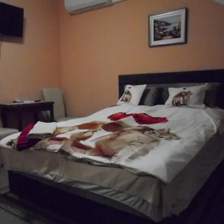 Homestay Torony Lovarda Maganszallas Kiskunfelegyhaza
