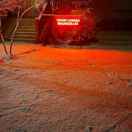 Torony Lovarda Maganszallas Kwatera prywatna Kiskunfélegyháza