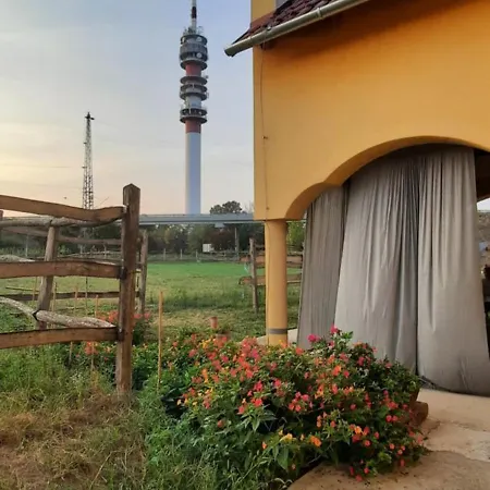 Torony Lovarda Maganszallas *