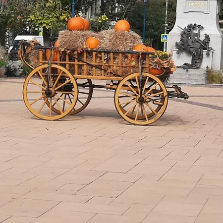 Torony Lovarda Maganszallas * Kiskunfélegyháza