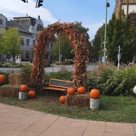Torony Lovarda Maganszallas *