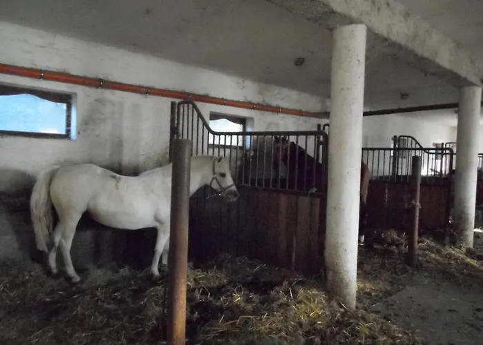 Torony Lovarda Maganszallas * Kiskunfélegyháza